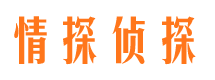 大关市婚外情调查